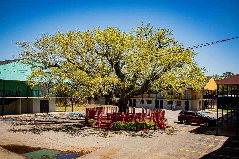 Super 8 by Wyndham Biloxi Main image